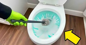 A Guide To 10 Essential Tips For Toilet Cleaning