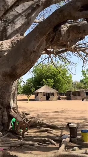 Travel_tour_Gambia on TikTok