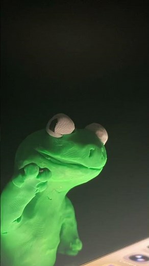 lizard lizard stop motion