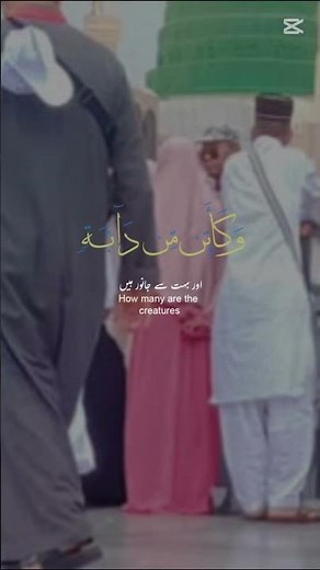 Best ☑️ Edit For Muslims 🕋❤️ #shorts #subhanallah #allah #islamicAllahislamicshorts #muslim#fypシ