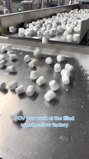 Vanilla Marshmallow Factory Work Experience