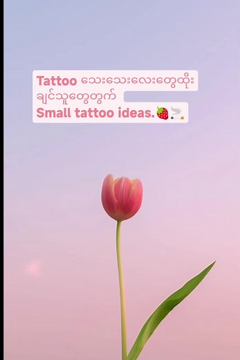 10 Creative Small Tattoo Ideas for Beauty & Style