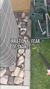 Do yall do this too or is it only me? #rattlesnakes #california #snake