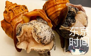 【日本美食】海螺 (ᐡ ᵒᴥᵒ ᐡ) 贝类