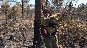 Firefighter explains the point of ignition in wildfire.
