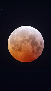 The Lunar Eclipse! #bloodmoon #telescope | AstroBackyard