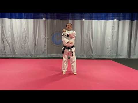 Basic Form 1 (1st 8 Moves)