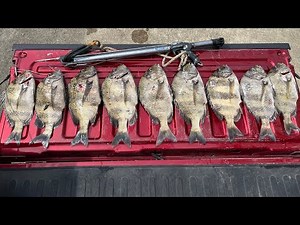 Super Easy Way to Quickly Clean Sheepshead