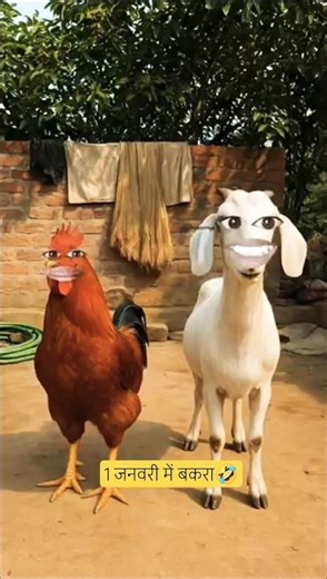 1 जनवरी में बकरा🤣 #thetharpuns #funnymurga #comedyshorts #viral #trending #shilpisaroja