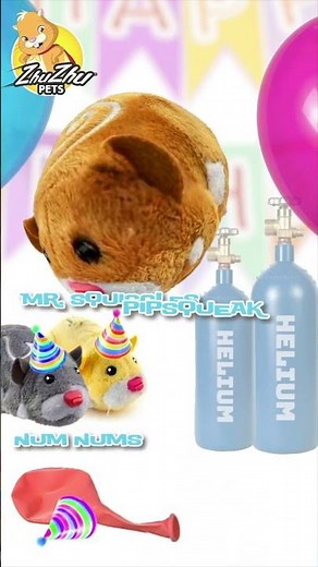 ZhuZhu Pets - Balloon Reverse!