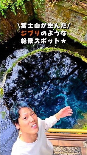 静岡の“ジブリすぎる”絶景スポットSP🎊 #静岡 #観光 #柿田川公園 #ジブリ #富士山 #旅行
