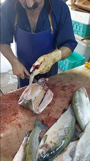 Expert Trout Fillet for Sashimi – Master Fishmonger’s Precision Cuts