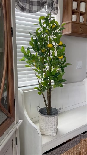 Decoración con Limones: Ideas para el Hogar