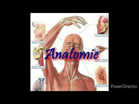 Introduction à l'étude de l'anatomie humaine ( partie 01)