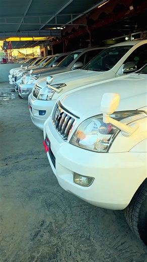 Stunning Stock Footage That Captivates Audiences