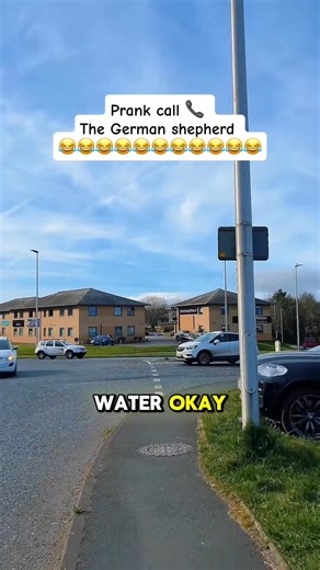 The Overly Dramatic Telemarketer Selling Nothing #funny #prank #call #prankcall #viralvideo | Funny pranks