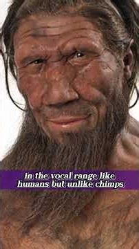Could Neanderthals talk? #language #todayilearned #neanderthal #prehistoric #educational