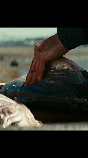 Movie_zone on Instagram: "Ronaldo shows why mentality is the foundation of greatness in elite football. From relentless self belief to unmatched discipline, Cristiano Ronaldo built a career where standards never dropped and pressure only sharpened his edge. Across Manchester United, Real Madrid, and Juventus, he delivered record defining performances, evolving his game to remain decisive in every era. His goals in finals, knockout matches, and title races cemented his reputation as a player who