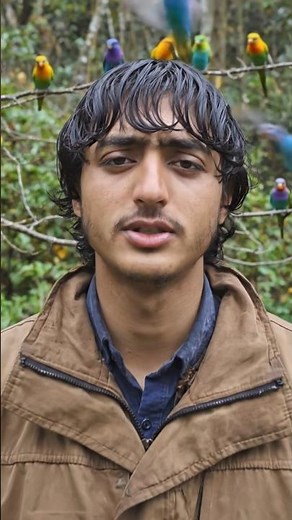 Spice, Sean Paul, Shaggy - Go Down Deh | Official Music Video