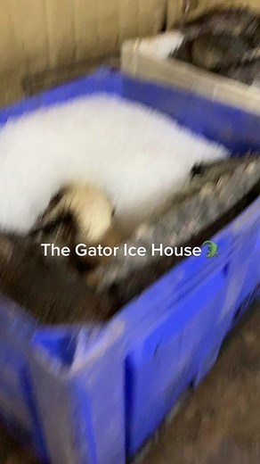 Exploring the Gator Ice House in Louisiana