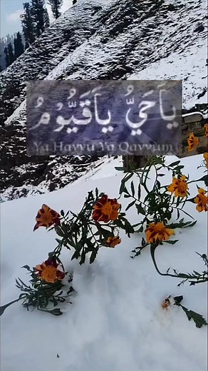 205K views · 15K reactions | Snowfoll view | Valley Of Jammu & Kashmir | Facebook