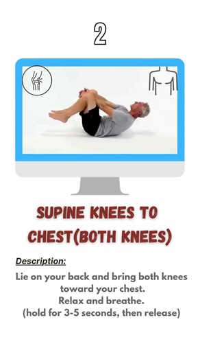 Lower Back Stiffness? Try These 5 Simple Exercises #shorts