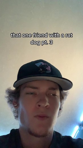 rufus was gettin the work😂 #bradylxix | bradylxix