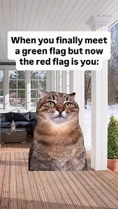 1.4M views · 65K reactions | #flags #redflags #greenflag #cat #catmemes #meet #reels #memes | David Vincent | Facebook