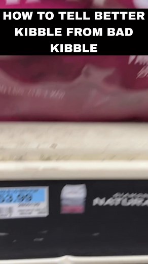 https://youtu.be/1PFceZhUKMI What’s The Best Kibble? | QBN Kennel