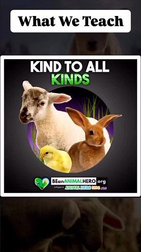 What We Teach The main goal of our kindness education presentation and activities is to promote empathy for ALL. Be an Animal Hero by being kind to every kind, every day. Three times a day you can choose cruelty-free vegan fare. All food served, distributed and created at our events are always vegan. Here’s our gift to you, the Veganza Vegan Tips on our website are free. It’s so easy to be kind and eat cruelty-free. #susanhargreaves #author #founder #loveanimals #compassion #kind #vegan #tips #k