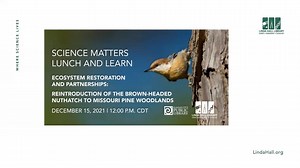 Ecosystem Restoration and Partnerships: Reintroduction of the Brown-headed Nuthatch to Missouri Pine Woodlands