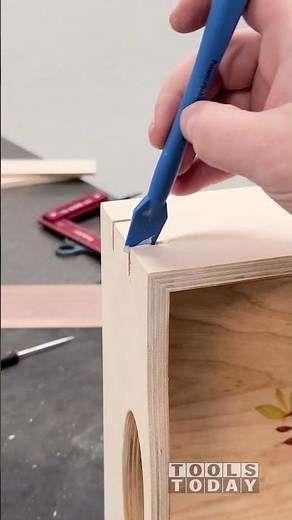 Cutting and Trimming Splines