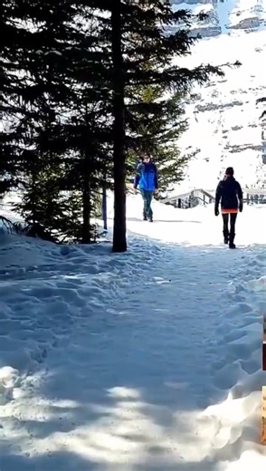 Jasper to Icefields Parkway: A scenic road adventure