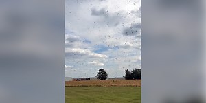Watch: 'Corn devil' swirls through freshly harvested Kansas field