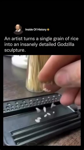 A1 Media Dose on Instagram: "An artist transforming a single grain of rice into a highly detailed Godzilla sculpture draws from the long tradition of micro-sculpture, where creators push the limits of human precision using custom needles, blades, and magnification. This niche art form gained wider recognition as artists began sharing process photos and videos online, revealing how hours of steady work can shape textures, claws, and facial features on a surface smaller than a fingernail. The piec