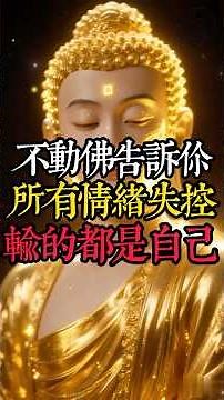 永遠不起嗔心的人，後來成了佛#不動佛 #佛學智慧 #修心 #內心平靜 #放下嗔念 #治癒心靈 #智慧人生 #熱門感悟 #被罵時如何不生氣 #如何修出定力
