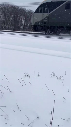 Via rail 24 venture sets passes by!