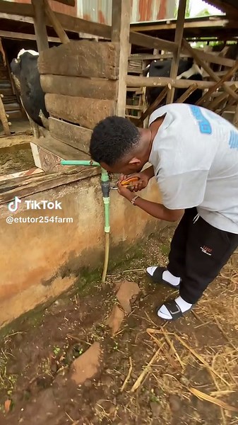 The Journey of Dairy Farming in Kenya