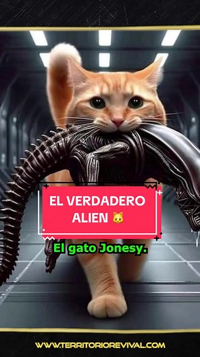 La realidad del gato en Alien: Teorías y curiosidades