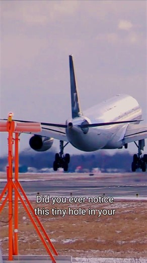 This Tiny Hole is Keeping You Alive! ✈️ #shorts