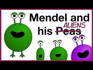 Mendel and Heredity