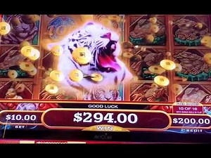 Jackpot on the Mighty Cash Slot! The Tiger Roars With Only 1 Spin at $10 Bet!