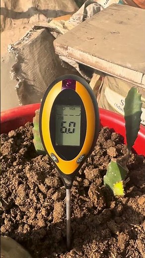 How to Test Soil pH Easily