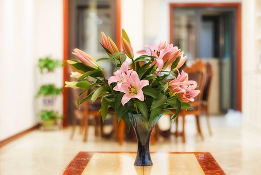 The best way to remove pollen stains