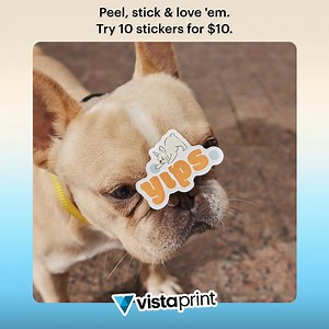 3.5K views · 12 reactions | Vibrant colors. Sharp details. Durable finishes. It’s no wonder our sticker singles are fan favorites. Try them for yourself! | VistaPrint | Facebook