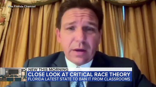 Florida bans critical race theory in public schools