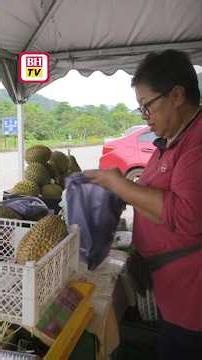 Musang King kena lelong RM5 hingga RM15, gred A hanya RM20 sekilogram