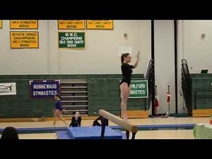 Erica Beam High School Gymnastics