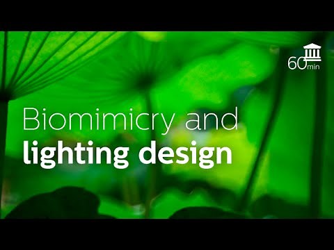 Biomimicry (Michael Pawlyn)