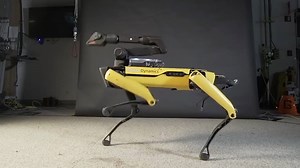 Watch this four-legged robot do the Running Man and twerk like Miley Cyrus